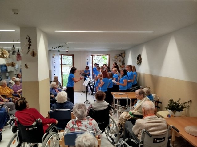 proseniorydenmatek 9
